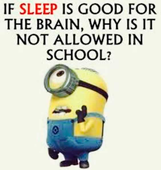 Minion Not Allowed