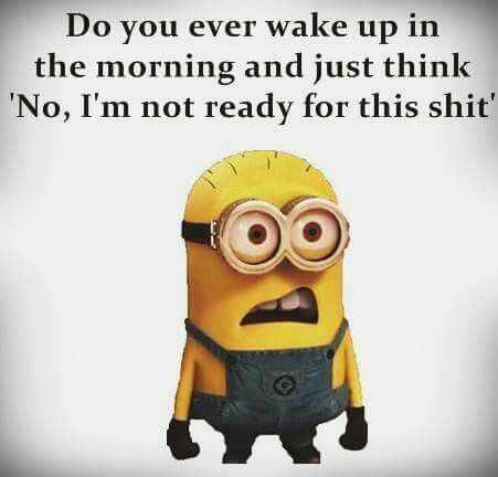Minion Not Ready