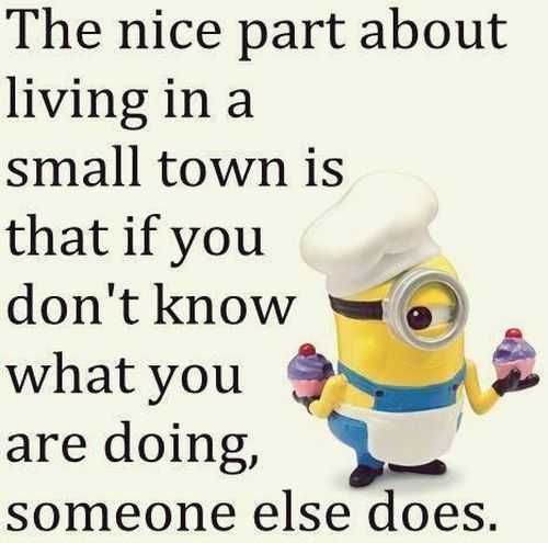 Minion Small Town