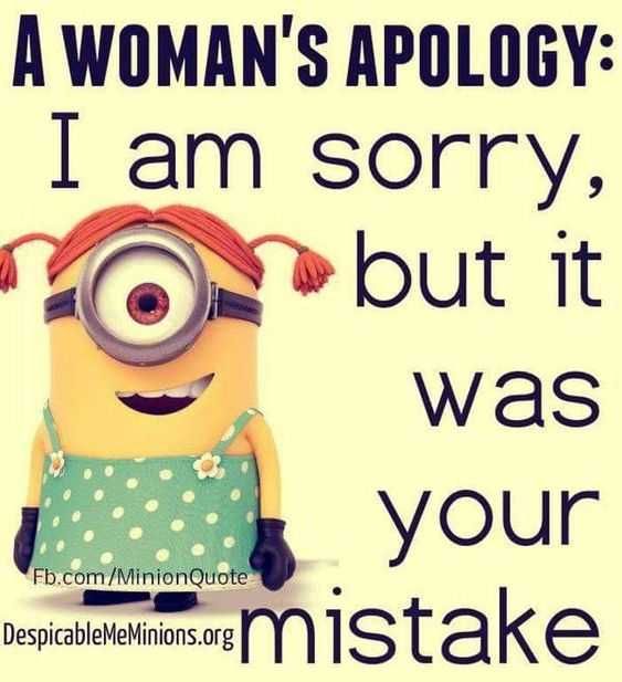 Minion Sorry Misake