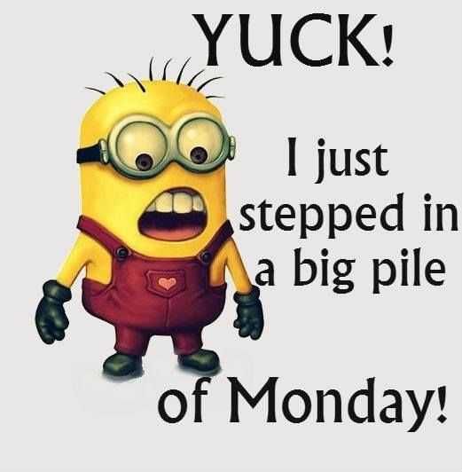 Minion Stepped In Monday