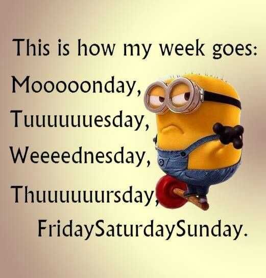 Minon Slow Week