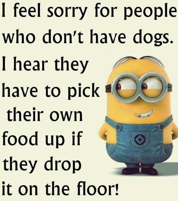 Mninion Food Drop