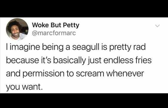 Quote Endless Fries