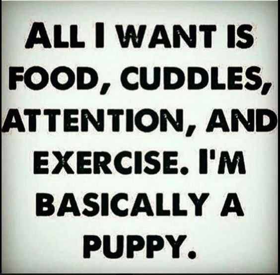 Quote Puppy