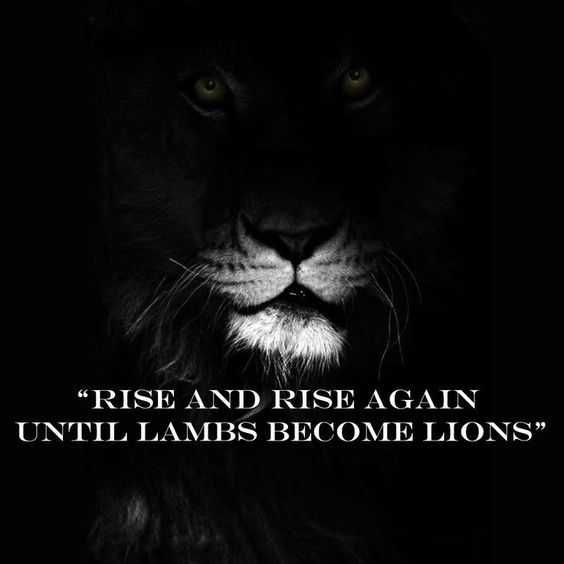 Quote Rise Rise