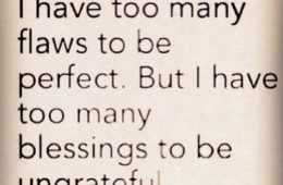 Quote Too Many Flaws