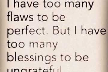 Quote Too Many Flaws