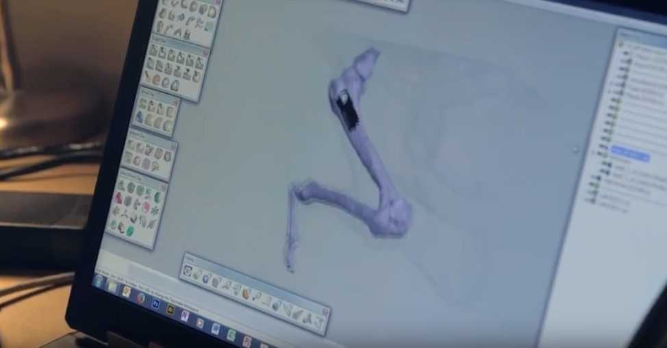 Screen Shot 2018 08 08 At 4.55.26 Pm