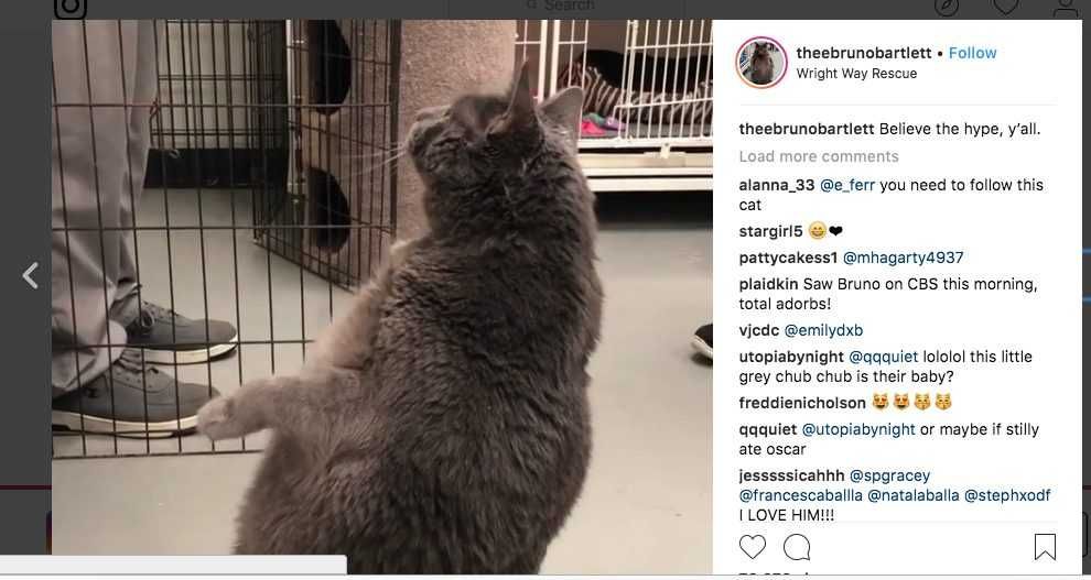Screen Shot 2018 08 28 At 4.10.39 Pm