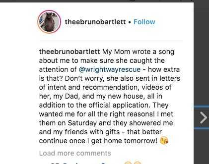 Screen Shot 2018 08 28 At 4.11.31 Pm