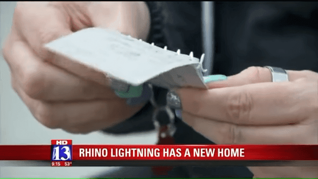 Utah Dog ‘Rhino Lightning’ Finds New Home After Note From Child Goes Viral 0 14 Screenshot