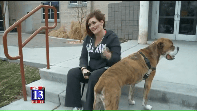 Utah Dog ‘Rhino Lightning’ Finds New Home After Note From Child Goes Viral 0 42 Screenshot