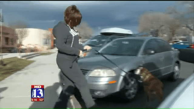Utah Dog ‘Rhino Lightning’ Finds New Home After Note From Child Goes Viral 1 36 Screenshot