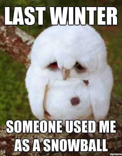 Animal Snowball