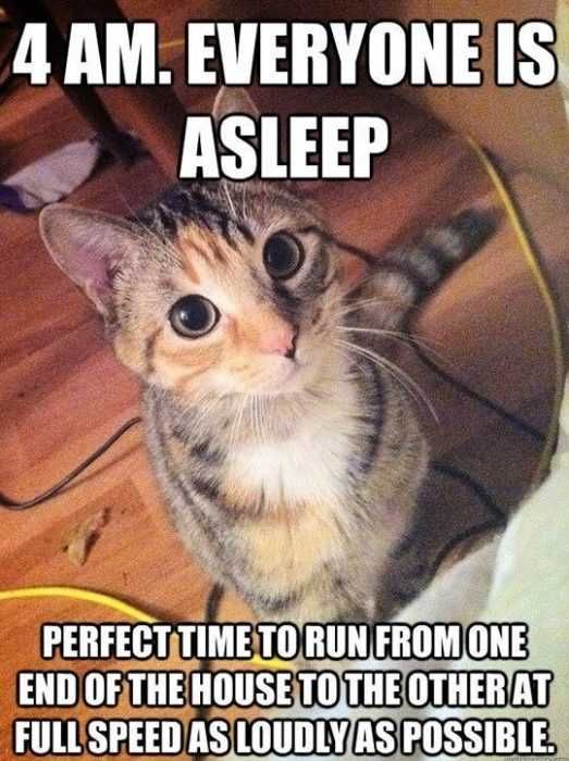 Funny 4 Am Perfect Time