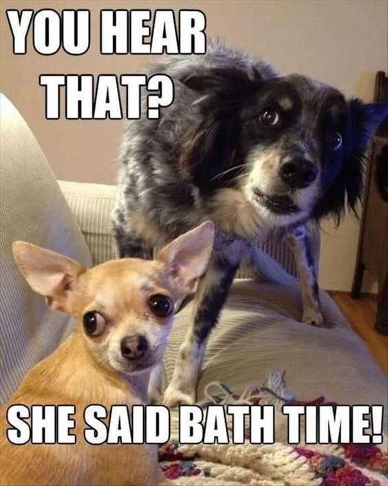 Funny Bath Time