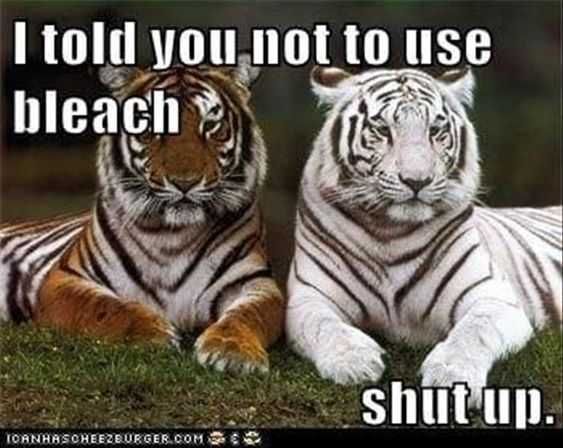 Funny Bleach