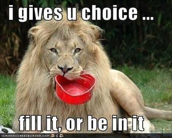 Funny Choice