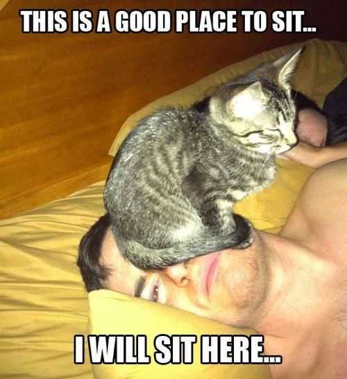 Funny Good Place To Sit