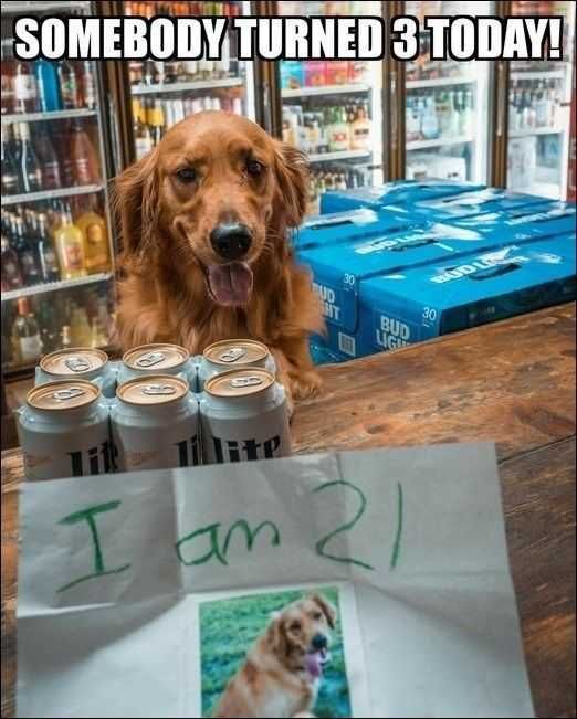 Funny I Am 21
