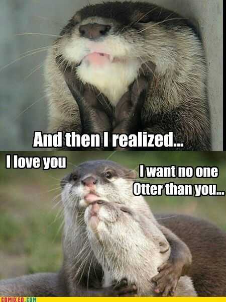Funny I Love You