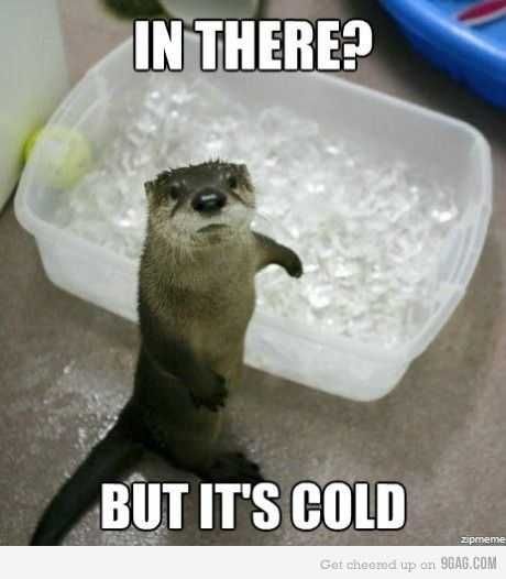 Funny In There