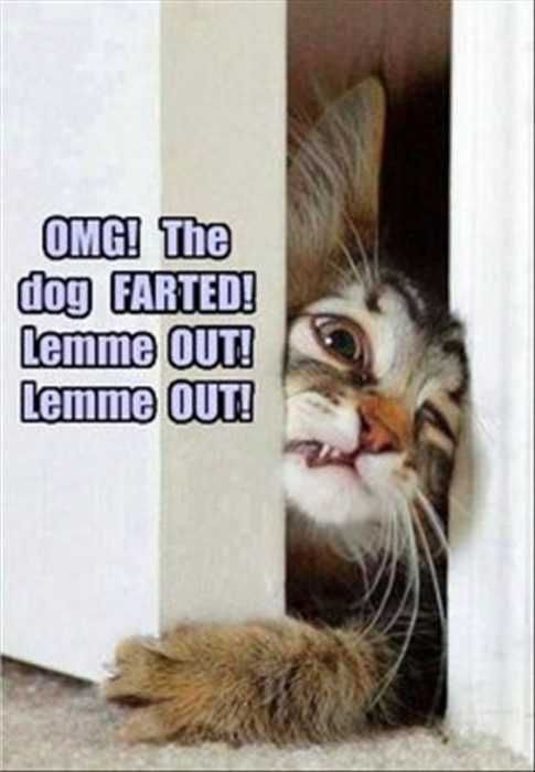 Funny Let Meout