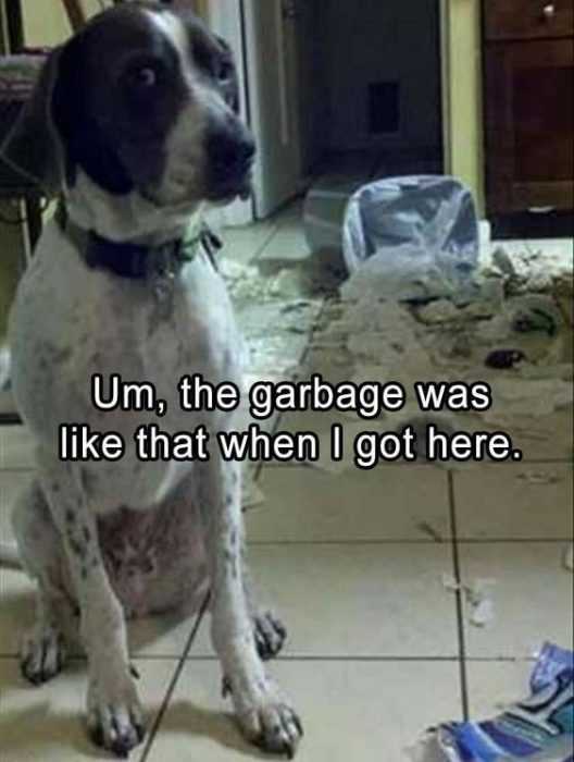 Funny Like That