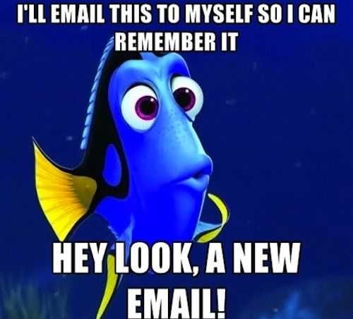 Funny Look Email