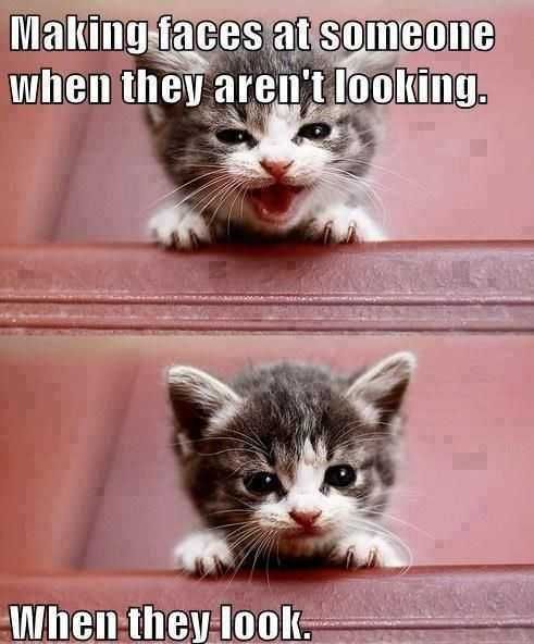 Funny Making Faces