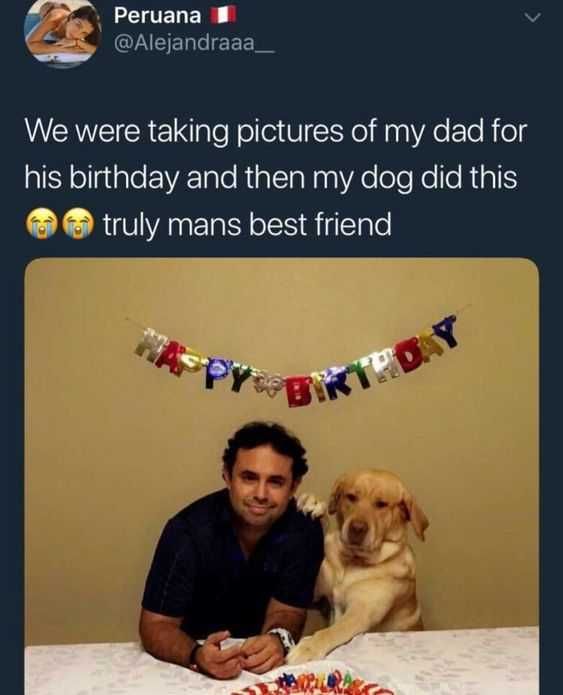 Funny Man Best Friend