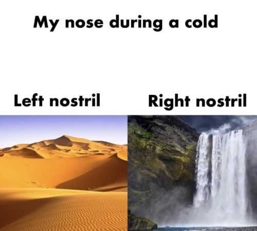 Funny Me Nostril