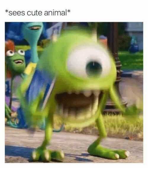 Funny Me Sees Animal