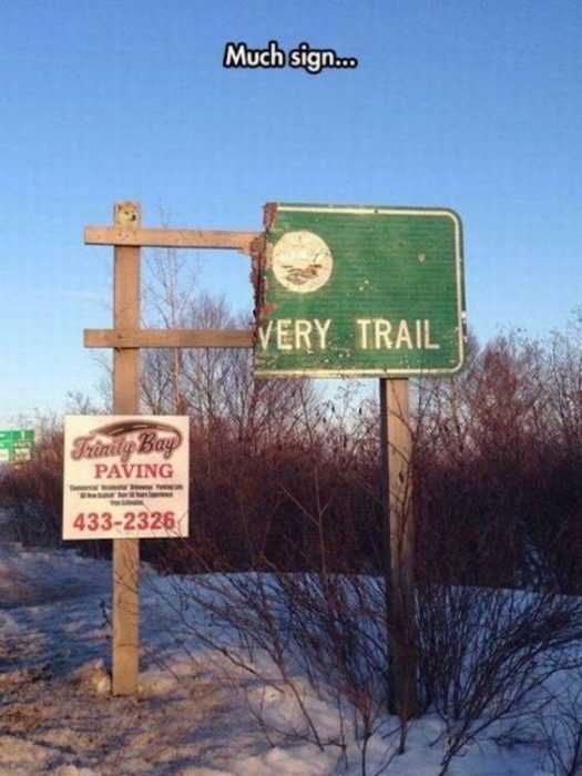 Funny Much Sign