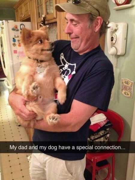 Funny My Dad