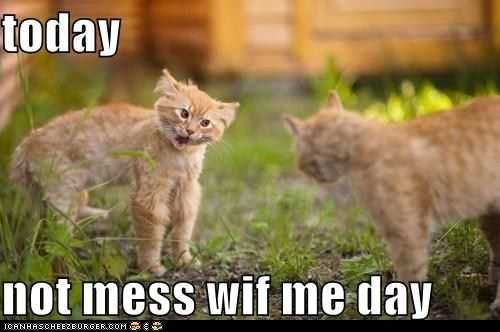 Funny Not Mess With Me