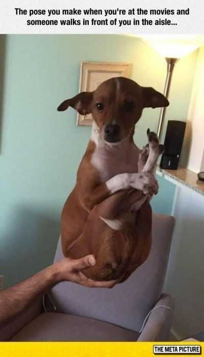 Funny Pose You Make