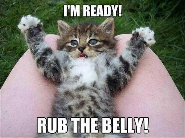 Funny Rub Belly