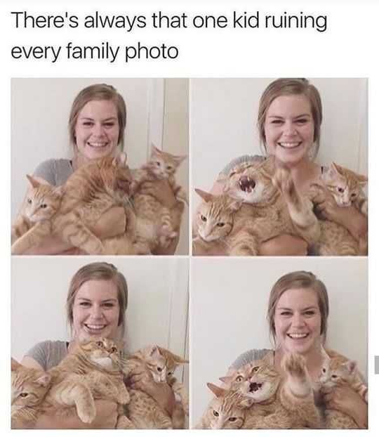 Funny Ruining Photo