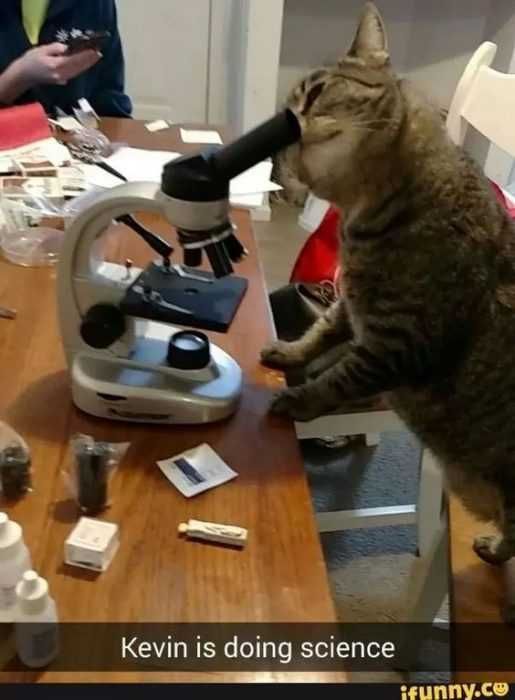 Funny Science