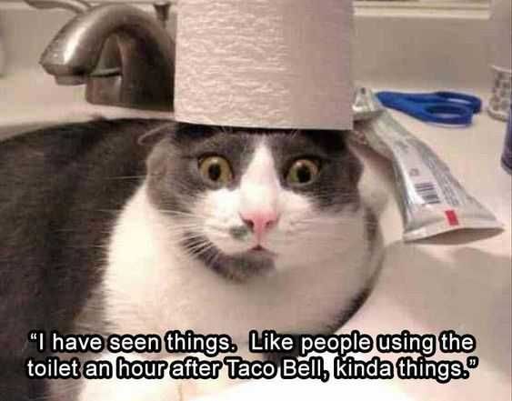 Funny Seen Things