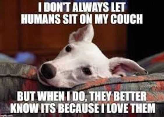 Funny Sit On My Couch