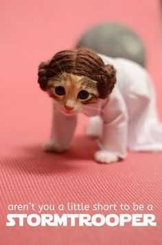 Funny Stormtrooper