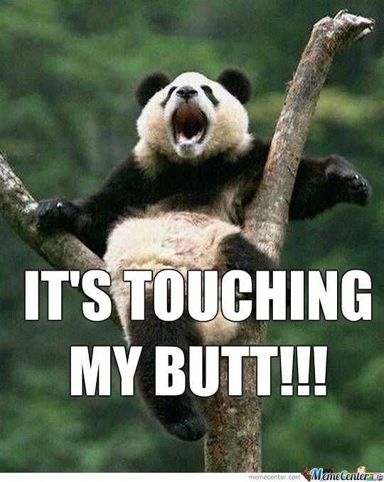 Funny Touching Panda