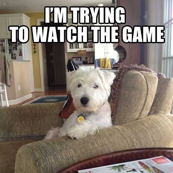 Funny Trying To Watch