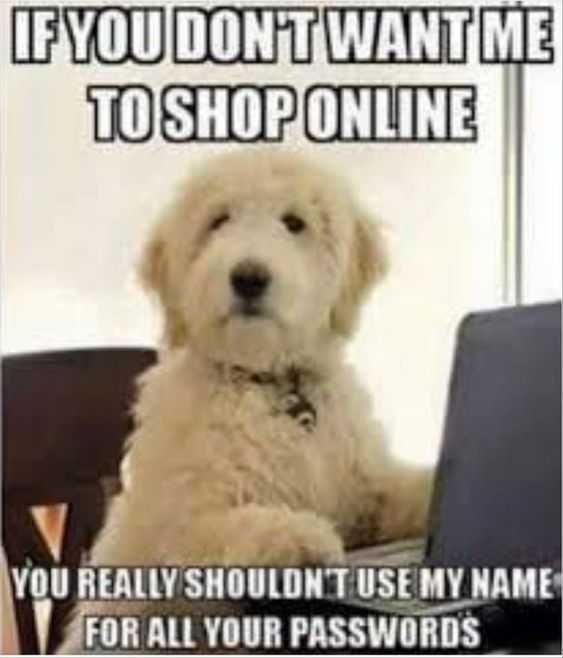 Funny Use My Name