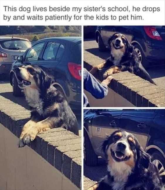 Funny Waits Kids