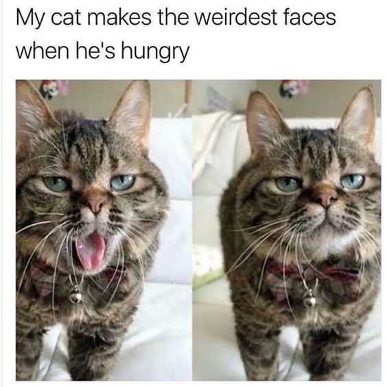 Funny Weid Face