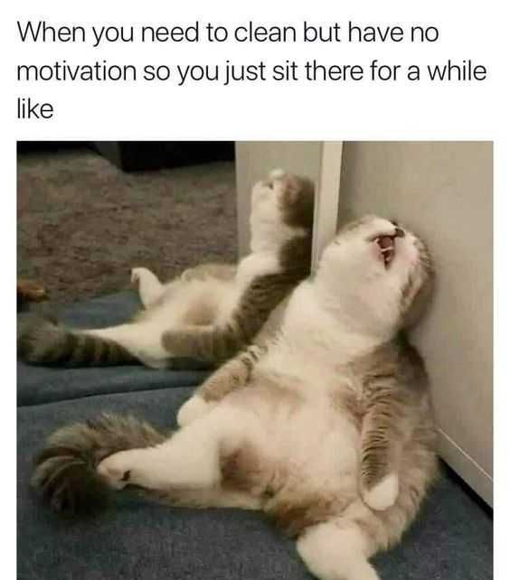 Funny When Motivation